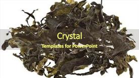  Presentation with seaweed - Colorful slide deck enhanced with algue - dried seaweed kelp isolated backdrop and a tawny brown colored foreground