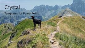  Presentation with national - Audience pleasing PPT layouts consisting of ali - goat on peak of prokletije backdrop and a light blue colored foreground