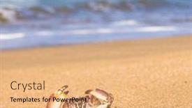  Presentation with alien - Colorful PPT theme enhanced with coral reefs are the habitat backdrop and a gray colored foreground