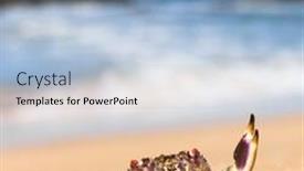  Presentation with alien - Presentation theme enhanced with alien-creature-cute-animal background and a light blue colored foreground