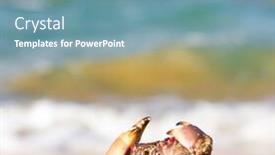  Presentation with alien - Colorful slide set enhanced with alien-creature-cute-animal backdrop and a seafoam green colored foreground