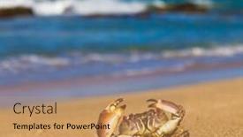  Presentation with alien - PPT layouts with alien-creature-cute-animal background and a coral colored foreground