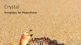  Presentation with alien - Colorful PPT theme enhanced with alien creature funny crab backdrop and a coral colored foreground