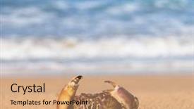  Presentation with alien - Presentation with alien creature menacing eyes background and a coral colored foreground