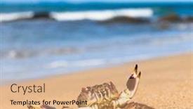  Presentation with alien - PPT layouts with alien creature menacing eyes background and a coral colored foreground