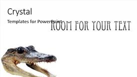  Presentation with crocodile - Beautiful presentation theme featuring baby alligator or crocodile head backdrop and a white colored foreground