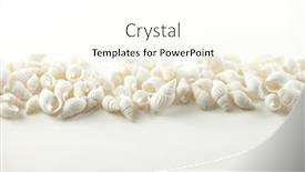  Presentation with sea shells - Audience pleasing presentation theme consisting of aline-of-white-spiral-sea backdrop and a cream colored foreground