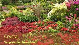  Presentation with garden - PPT theme having all-kinds-of-flowers background and a red colored foreground