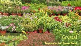  Presentation with garden - Theme enhanced with all-kinds-of-flowers background and a tawny brown colored foreground