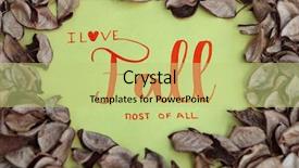  Presentation with fall leaves - Slide set having all with many dry leaves background and a  colored foreground