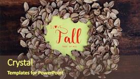  Presentation with fall leaves - Amazing presentation theme having all with many dry leaves backdrop and a  colored foreground