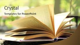  Presentation with branch - Amazing presentation having allegory - book on tree branch close-up backdrop and a blonde colored foreground