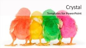  Presentation with shot - PPT layouts having allegory - high key shot from backside background and a white colored foreground