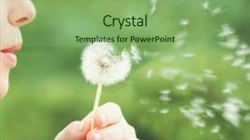  Presentation with dandelion - PPT layouts having allergy - woman blowing on a dandelion background and a seafoam green colored foreground