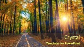 Presentation with bright - Beautiful slide deck featuring alley in the bright autumn park backdrop and a tawny brown colored foreground