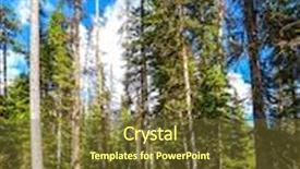  Presentation with forest morning - Cool new PPT theme with alley in the coniferous forest morning on the emerald lake yoho national park canada backdrop and a tawny brown colored foreground