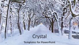  Presentation with snow blizzard in winter - Audience pleasing slides consisting of alley in the snowy park backdrop and a light blue colored foreground