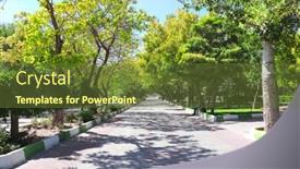  Presentation with park - Slide deck enhanced with alley-of-acacia-in-elgoli background and a tawny brown colored foreground