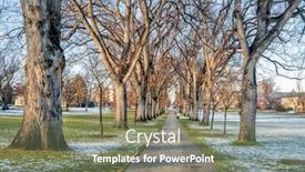  Presentation with american university - Audience pleasing presentation theme consisting of alley-of-old-american-elm backdrop and a violet colored foreground