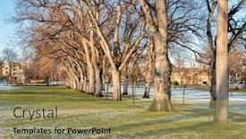  Presentation with american university - Slide set consisting of alley-of-old-american-elm background and a coral colored foreground