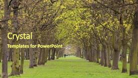  Presentation with green lawn - Cool new PPT layouts with lawn in regent's park backdrop and a tawny brown colored foreground