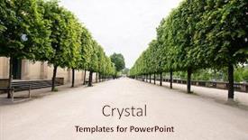  Presentation with paris france - Slides enhanced with alley-with-green-trees background and a lemonade colored foreground