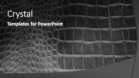  Presentation with crocodile - Slide deck with alligator-skin-crocodile-skin-real background and a  colored foreground