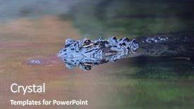  Presentation with swim - Presentation design featuring old gothic castle - morsko in poland background and a mint green colored foreground