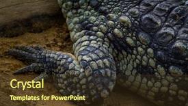  Presentation with follow up family - PPT theme enhanced with alligators - alligator is a crocodilian background and a tawny brown colored foreground