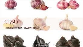  Presentation with black - Amazing PPT theme having allium sativum and white garlic backdrop and a lemonade colored foreground