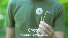  Presentation with two people holding hands - Theme having allopecia - man holding two dandelions hairy background and a  colored foreground