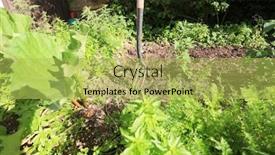  Presentation with carrots - Presentation having allotment-or-back-garden-o background and a yellow colored foreground