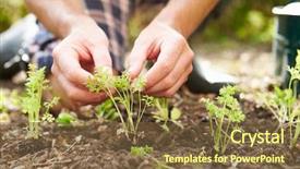  Presentation with planting the seed - Audience pleasing slide set consisting of allotting persons - close up of man planting backdrop and a tawny brown colored foreground