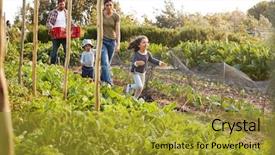  Presentation with leafy produce - PPT layouts enhanced with allotting persons - family harvesting produce from allotment background and a gold colored foreground