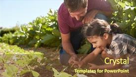  Presentation with plants growing - Slide set featuring allotting persons - father and daughter looking background and a  colored foreground