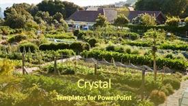  Presentation with grown - Slide set featuring allotting persons - fresh produce being grown background and a  colored foreground