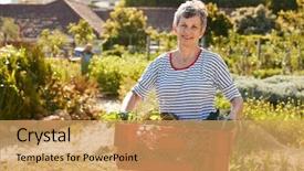  Presentation with community - PPT theme having allotting persons - mature woman carrying crate background and a yellow colored foreground