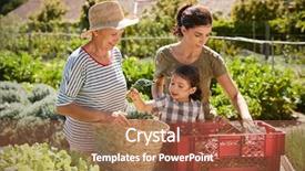  Presentation with mother and nurse during labor - PPT theme consisting of allotting persons - mother with adult daughter background and a red colored foreground