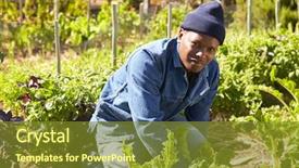  Presentation with community - Colorful slide deck enhanced with allotting persons - portrait of gardener working backdrop and a  colored foreground