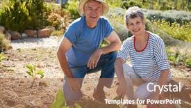  Presentation with beetroot - Theme having allotting persons - portrait of mature couple harvesting background and a coral colored foreground