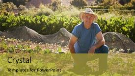  Presentation with harvesting energy - PPT layouts with allotting persons - portrait of mature man harvesting background and a  colored foreground