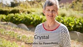  Presentation with business woman standing on maze - Amazing PPT theme having allotting persons - portrait of mature woman standing backdrop and a  colored foreground