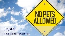  Presentation with pets - Slide set having allowance - no pets allowed sign background and a light blue colored foreground