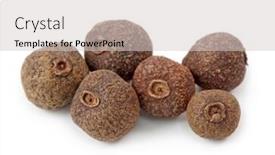  Presentation with allspice - Presentation theme having allspice-isolated-on-white-background background and a light gray colored foreground