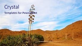  Presentation with spain - Presentation design having almeria cabo de gata agave background and a sky blue colored foreground