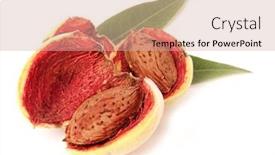  Presentation with almond - Amazing PPT theme having almond-fruit-with-leaves-isolated backdrop and a soft green colored foreground