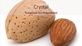  Presentation with nut - Presentation design featuring isolated on white background close background and a sky blue colored foreground