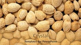  Presentation with shells - Audience pleasing presentation design consisting of almond-nuts-in-shells-closeup backdrop and a yellow colored foreground