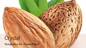  Presentation with fall leaves border white - Slide deck enhanced with almonds - almond nuts with leaves file background and a coral colored foreground