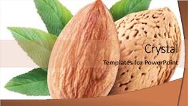  Presentation with almond - Audience pleasing theme consisting of almonds - almond nuts with leaves isolated backdrop and a coral colored foreground